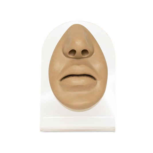 Silicone Nose and Lips Display — Tan Body Bit Version 1
