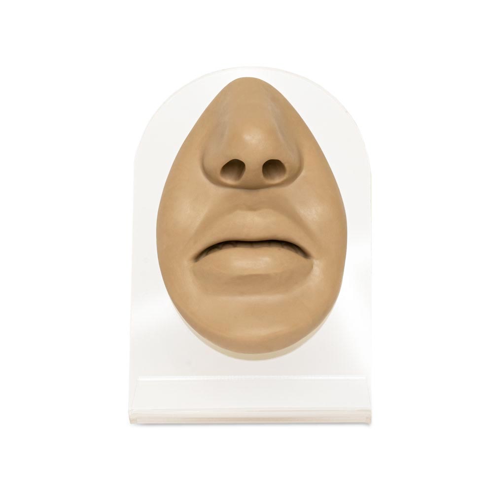 Silicone Nose and Lips Display — Tan Body Bit Version 1 - Painful Pleasures