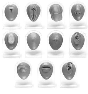 Complete 11 Piece Silicone Display Set - Version 1 Black Body Bits - Painful Pleasures