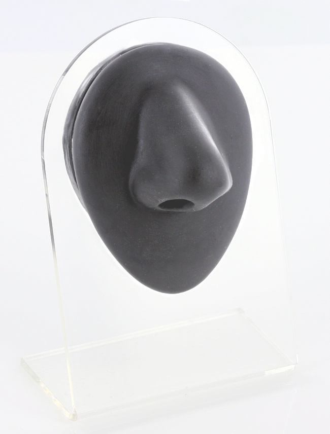 Silicone Nose Display - Black Body Bit Version 1 – Painful Pleasures