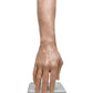 A Pound of Flesh Synthetic Arm Display Stand Arm Front