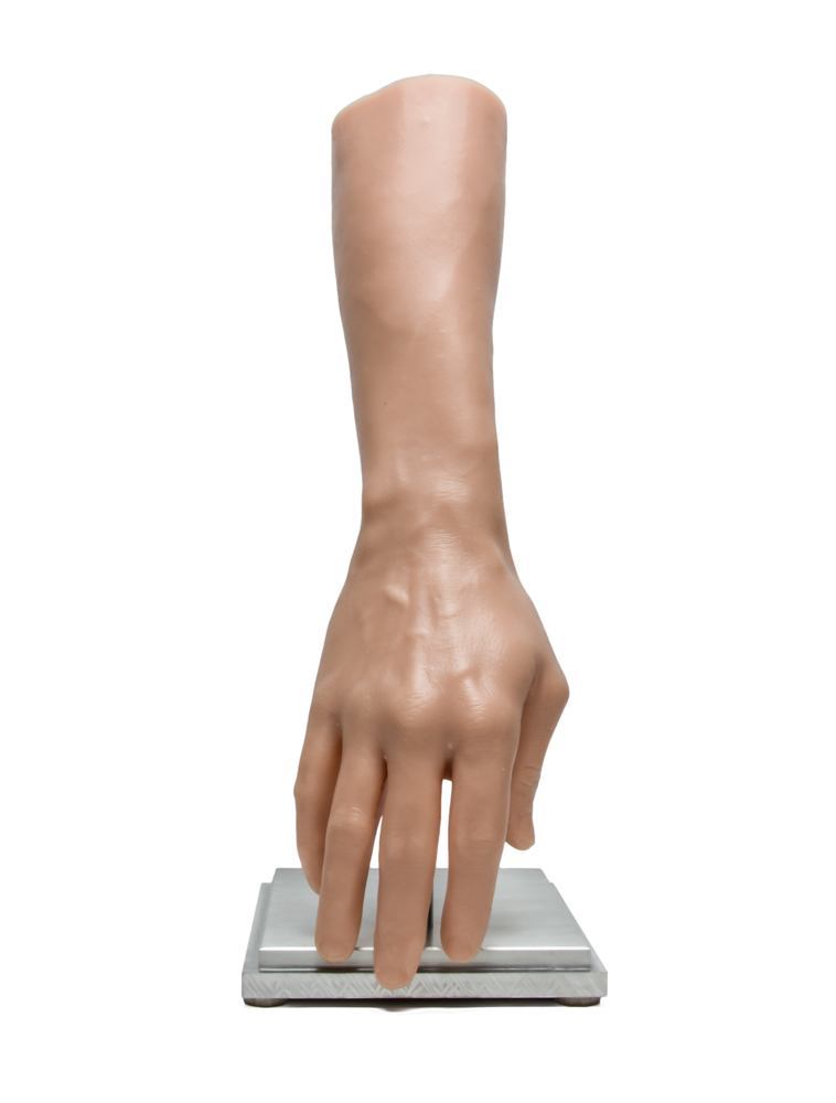 A Pound of Flesh Synthetic Arm Display Stand Arm Front
