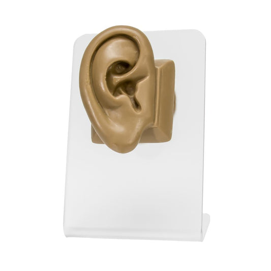 Realistic Adult-Sized Silicone Right Ear Display – Tan Body Bit Version 2