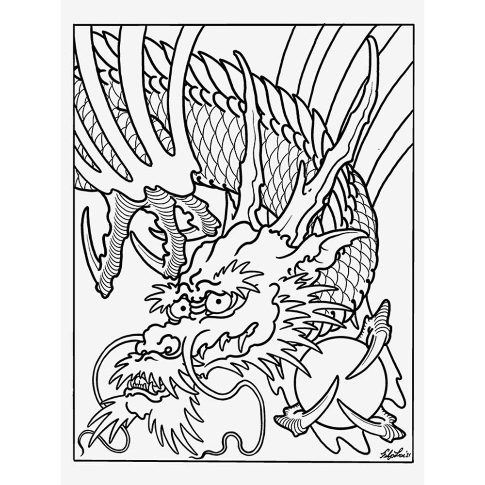 Dragons — The Collection by Filip Leu — Hardcover Book