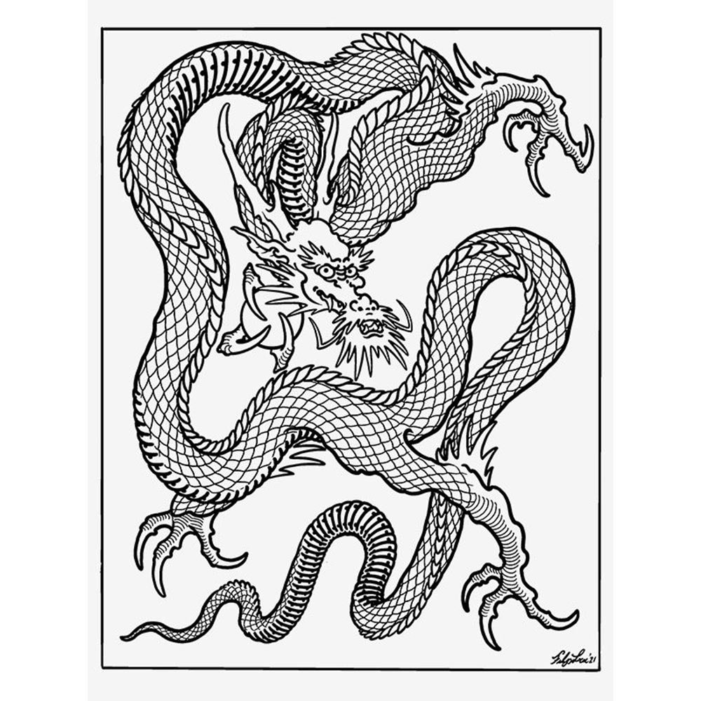 Dragons — The Collection by Filip Leu — Hardcover Book