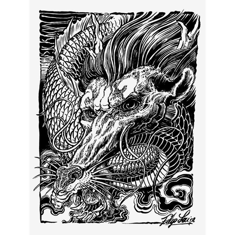 Dragons — The Collection by Filip Leu — Hardcover Book