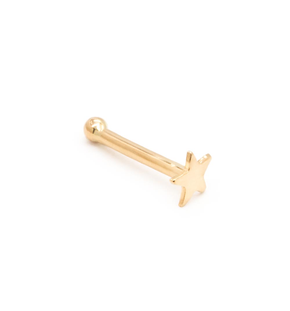 Tilum 20g Yellow Gold Flat Star Nose Bone