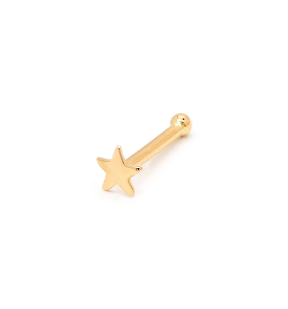 Tilum 20g Yellow Gold Flat Star Nose Bone