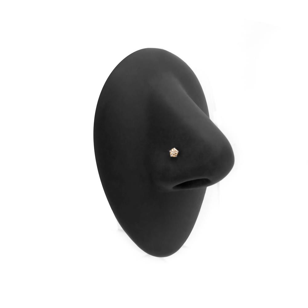 Tilum 20g Yellow Gold Star Jewel Nose Screw