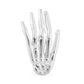 Tilum 14kt White Gold Skeleton Hand Threadless Top — Price Per 1