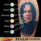 Halo Fifth Dimension Set of 12 - 1oz Bottles - Eternal Tattoo Ink