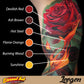 Levgen Signature Series Set of 12 — 1oz Bottles — Eternal Tattoo Ink