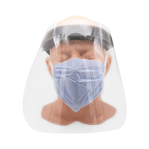 Lindenmeyr Munroe Disposable Face Shield — Price Per 1 - Painful Pleasures