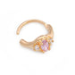 18g 3/8” PVD Gold Princess Jewels Clicker Ring