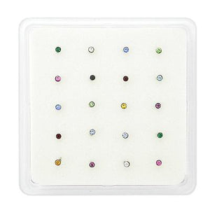 Acrylic Nose Display Box - Painful Pleasures