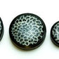 White Coral Over Black Resin Areng Wood Base - 14mm - 50mm Price Per 1