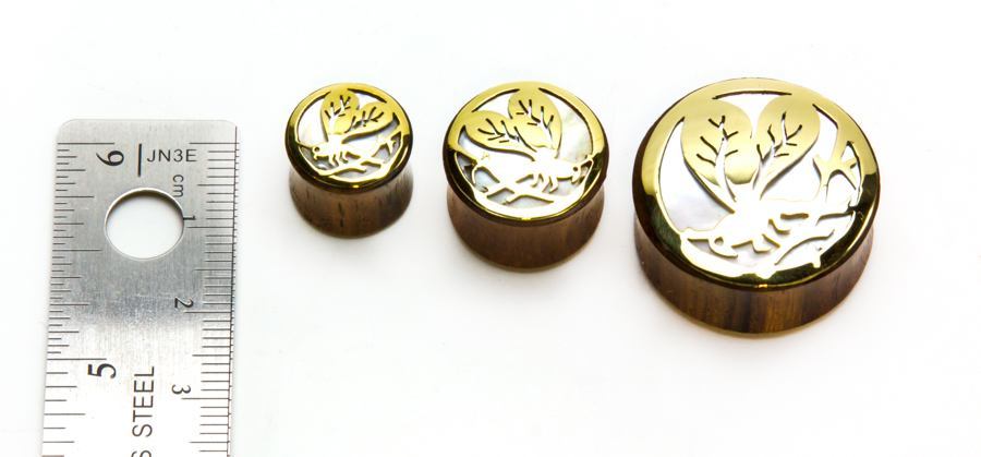 Insect Negative Space Art Plugs (12-24mm, Sold in Pairs)