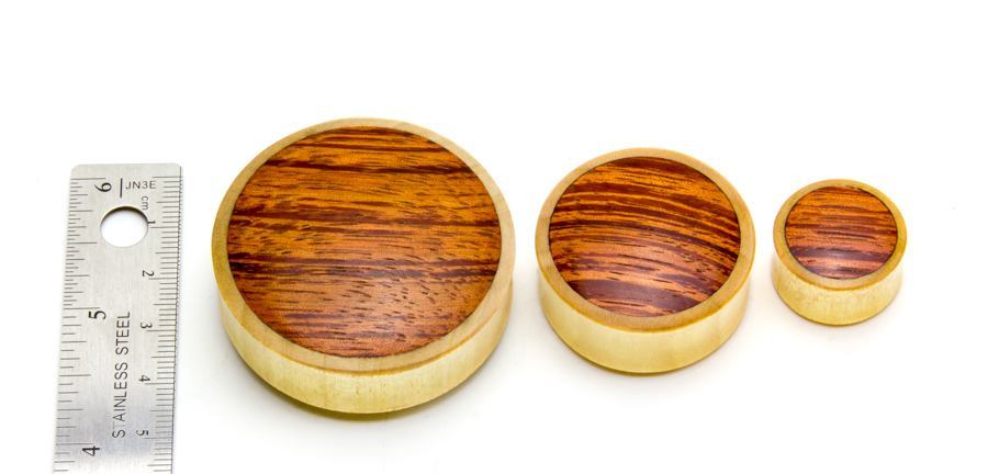 Crocodile Wood Double Flared Plug with Red Tigerwood Front — Price Per 1