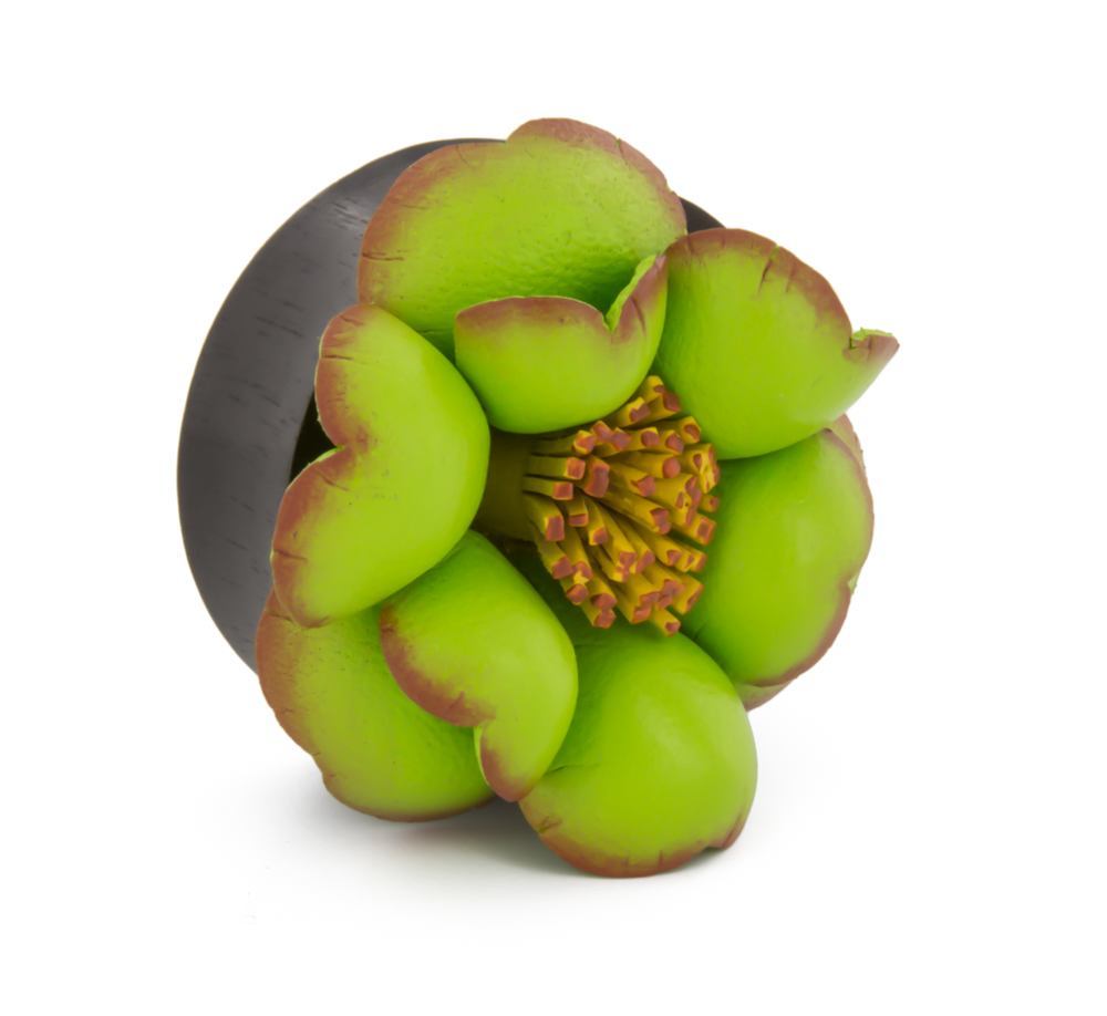Field of Green Flower Plugs Size Chart