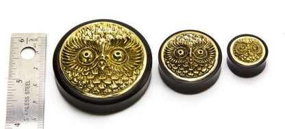 BRASS OWL Inlay Areng Wood Organic Plugs - Price Per 1 - Painful Pleasures