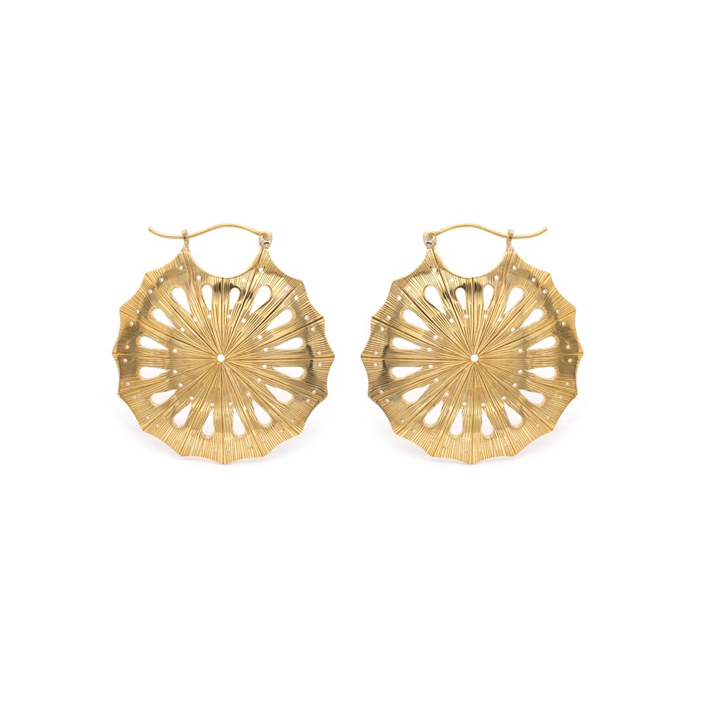 16g Polished Brass Sand Dollar Earrings shown as a pair