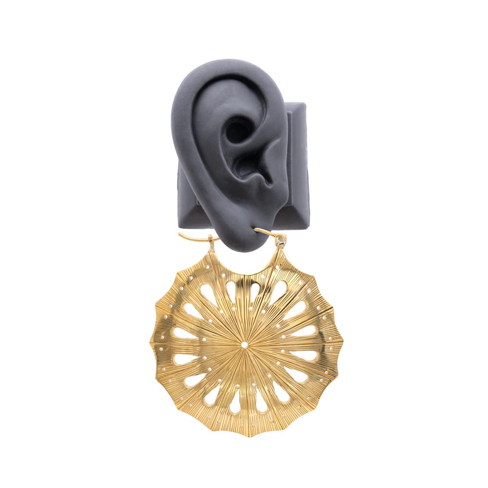 16g Polished Brass Sand Dollar Earrings shown in model ear