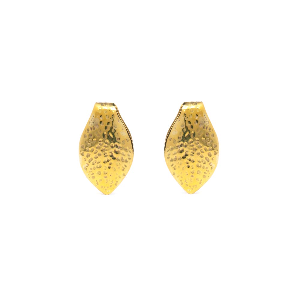 Polished Brass Hammered Leaf Ear Weight