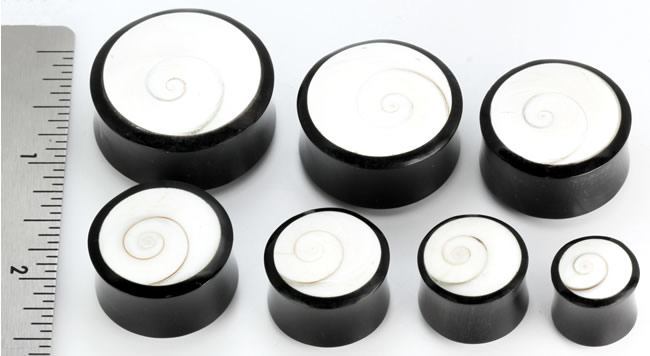 Shiva Eye Shell Inlayed on a Horn Plug Organic Body Jewelry 12mm - 31mm - Price Per 1