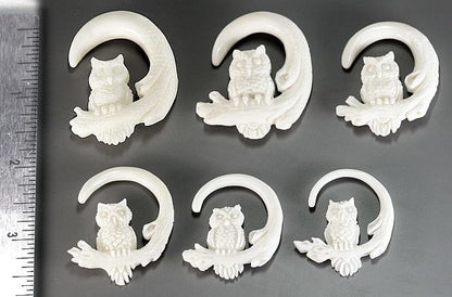 PERCHING OWLS Natural Bone CARVED Organic Body Jewelry 2mm - 8mm - Price Per 2 - Painful Pleasures