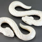 White Snake Bone Hangers (Detail)