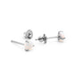 Titanium Prong Set White Opal Stud Earrings — Price Per 2