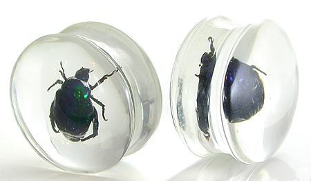 Green Beetle - Actual Green Bettle inside an Acrylic Plug - 16mm-24mm - Price Per 1 - Painful Pleasures