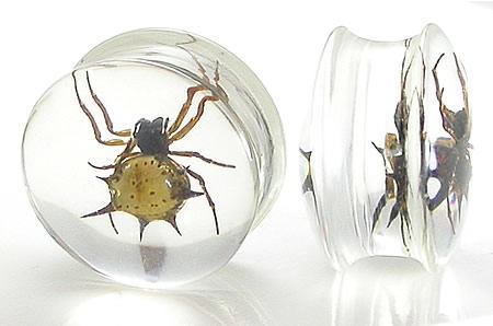 Spider - Real Spider inside Acrylic Plug - 16mm-24mm - Price Per 1