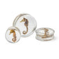 Seahorse Double Flared Acrylic Plug 20mm-32mm