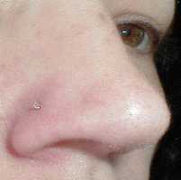 20g or 18g Monofilament L-Bend Nostril Retainer - Nose View 1