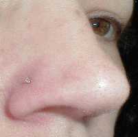20g–14g Nose Bone Monofilament Nose Retainer on Nose 1