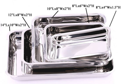 Stainless Steel Medical Tray with Cover for Tattoos and Piercings - Painful Pleasures