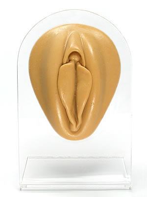 Silicone Vagina Display - Tan Body Bit Version 1
