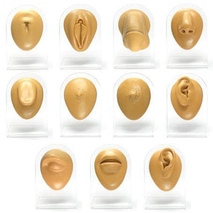 Complete 11 Piece Silicone Display Set - Tan Body Bits - Painful Pleasures