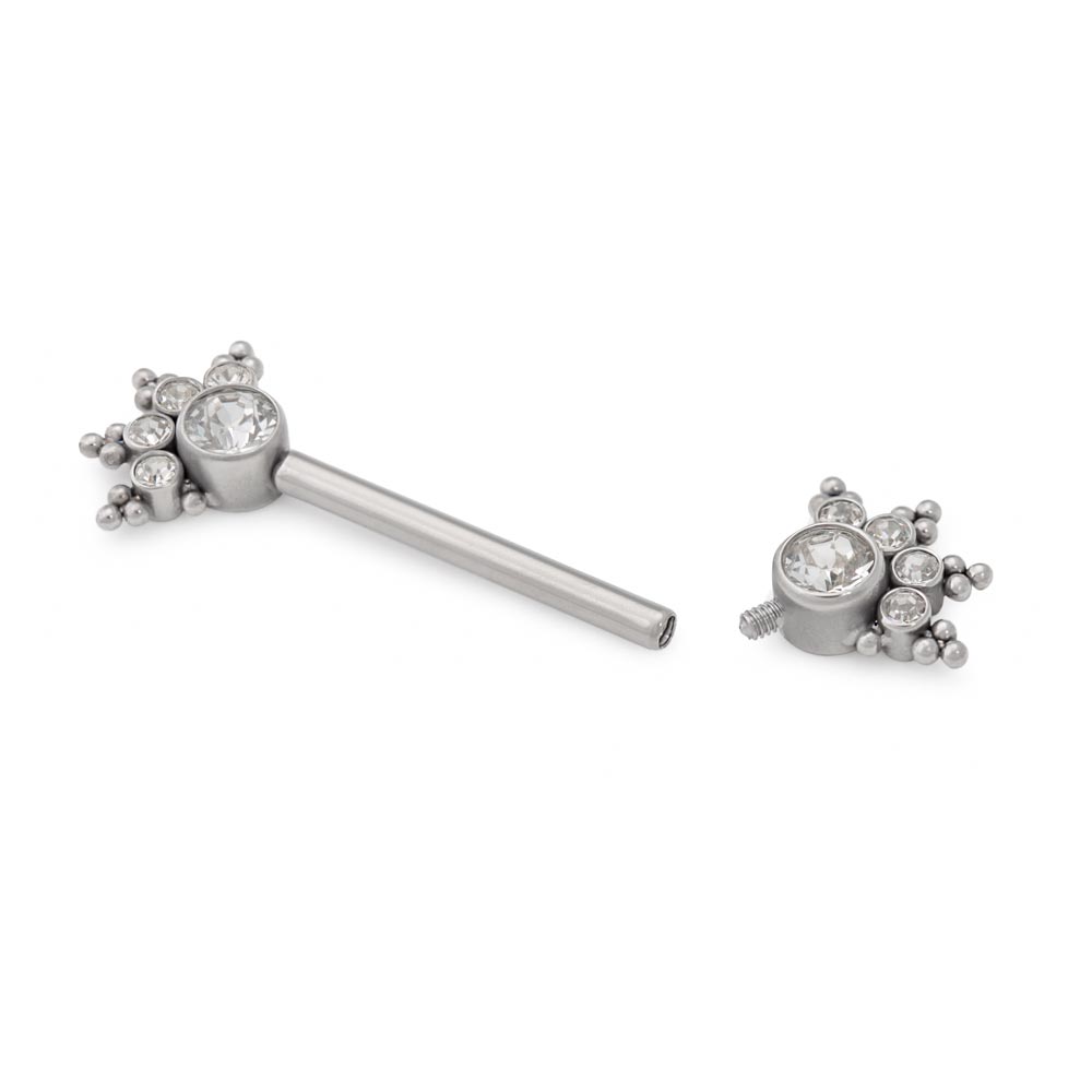 14g Jewel Burst Titanium Nipple Barbell — Price Per 1