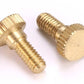 Bag of Brass Screws