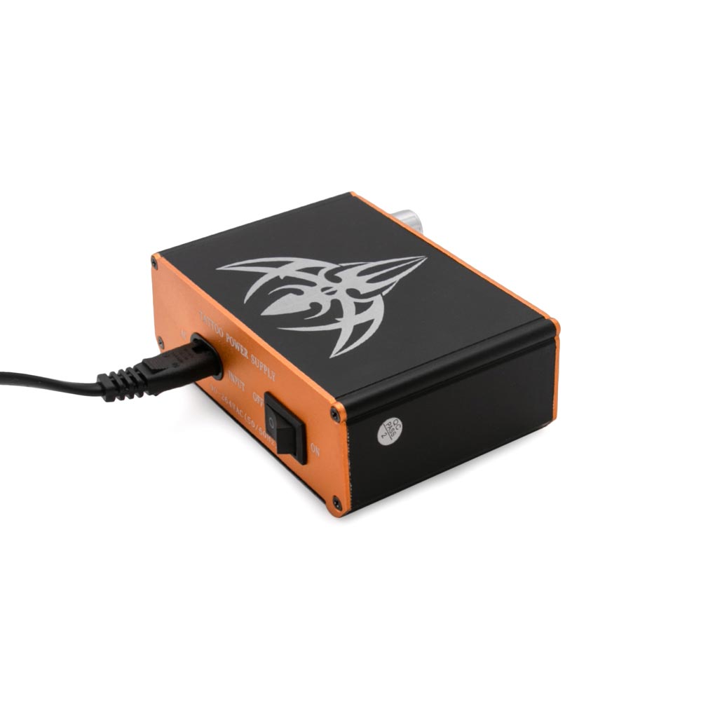 Precision Dual Tattoo Power Supply with Power Cord
