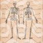 Tattoo Pain Chart — 18" x 24" Poster