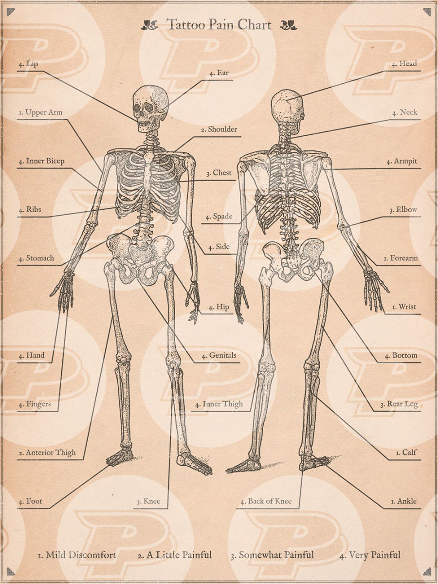 Tattoo Pain Chart — 18" x 24" Poster