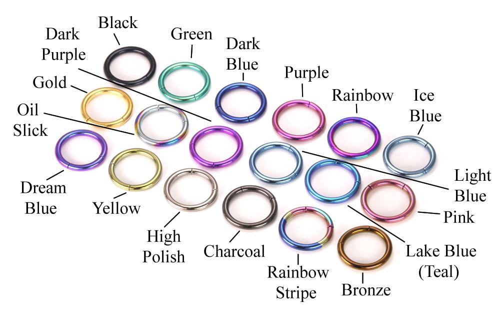 16g Titanium Segment Ring- Color Options