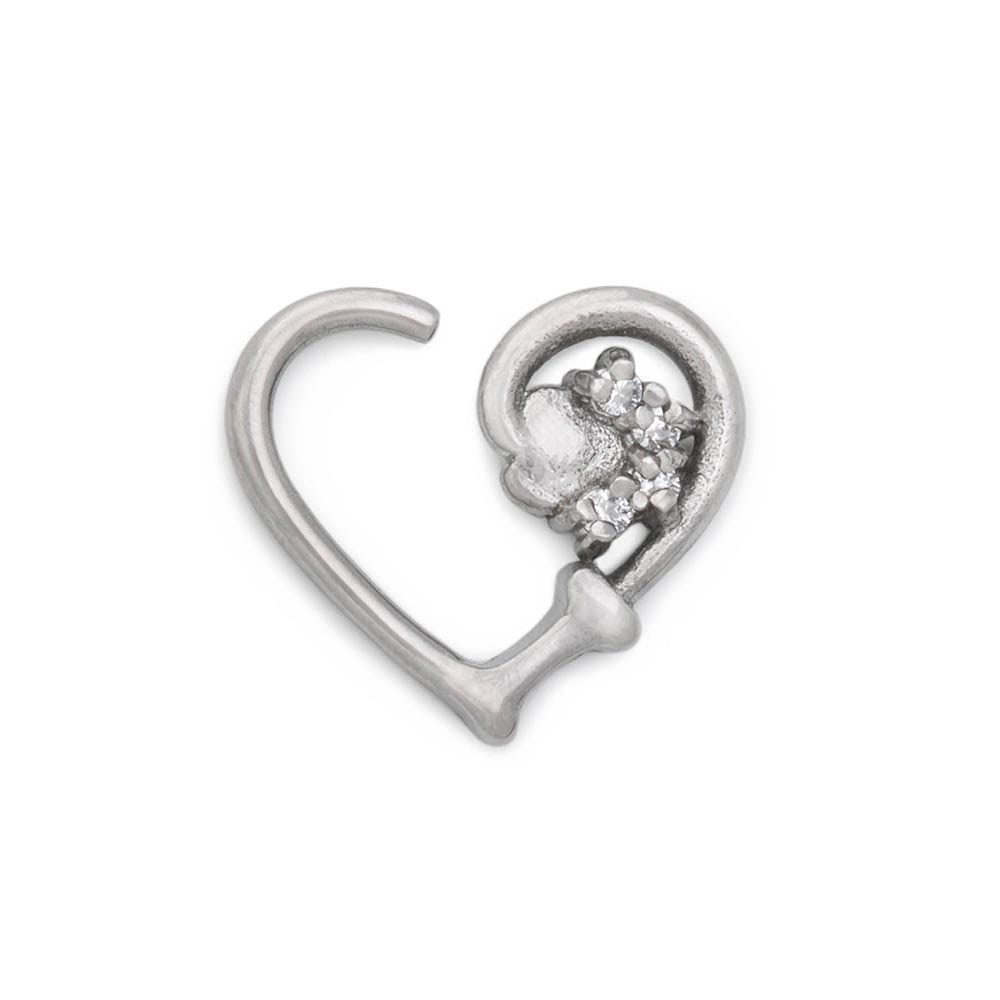 16g Go Fetch Bendable Heart Ear Jewelry — Price Per 2