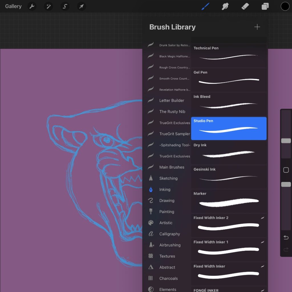 Brush tools in Procreate
